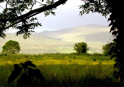 South from Tralee