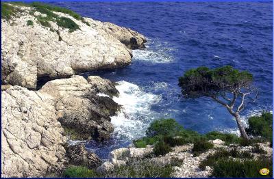 Calanques_220303_004.jpg