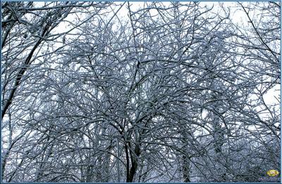 Neige_040103_08.jpg