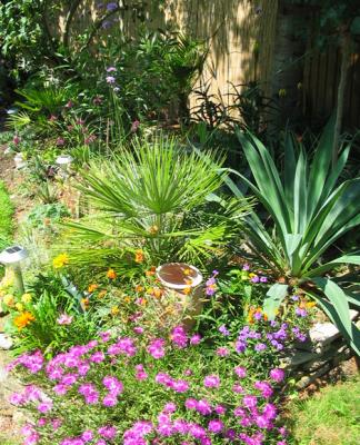 Raised bed 2004