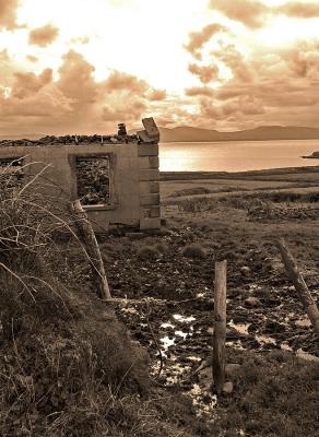 u39/tjohn/medium/25403122.DSC_1695.jpg