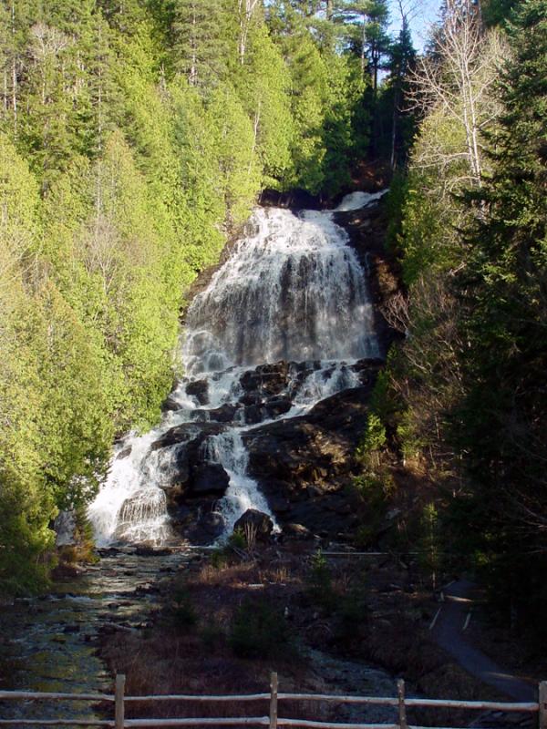 waterfall in the spring