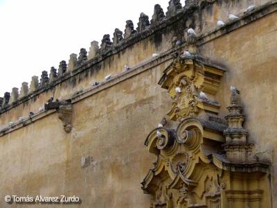 Mezquita-Catedral