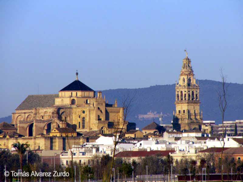 La Mezquita - Catedral