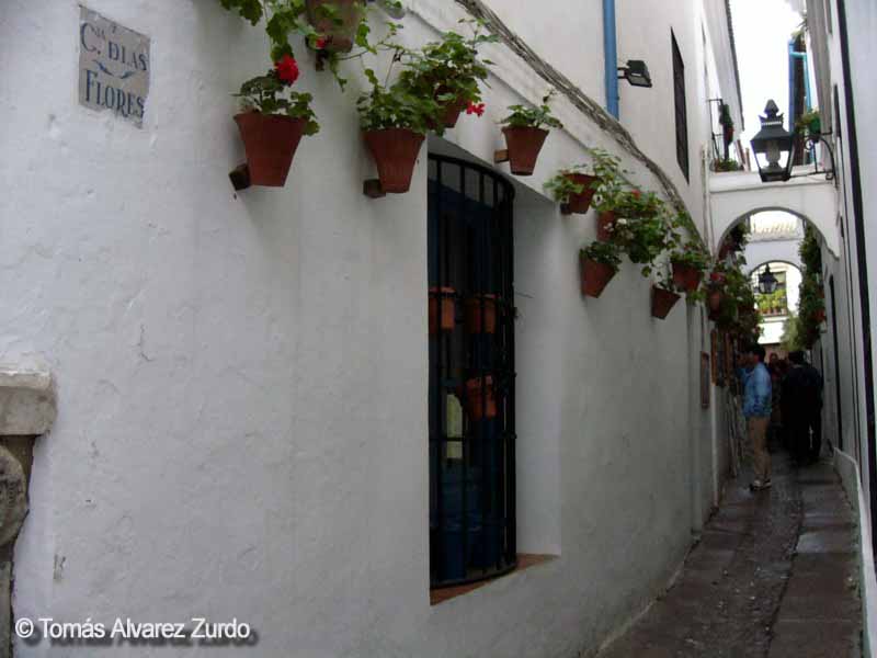 Calleja de las Flores