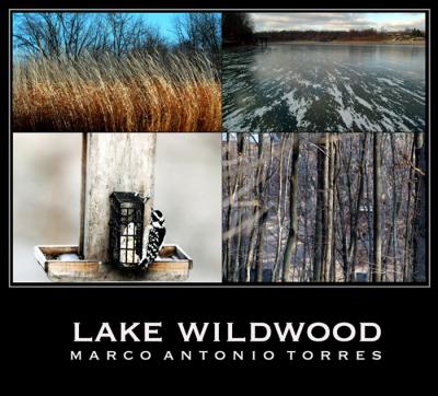 Lake Wildwood, IL