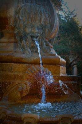 DSCF0157.jpg