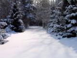 snowy lane.jpg
