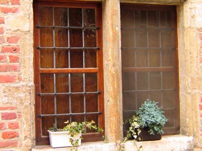 window and plants