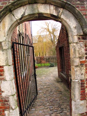 gate and winter tree