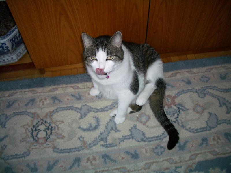 Tina sticking out her tounge. Jun 2004