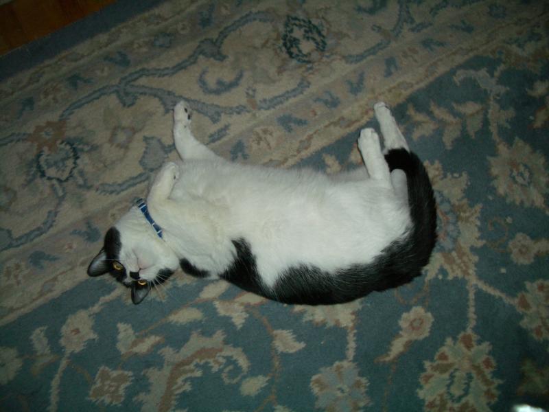 Max  Jun 2004