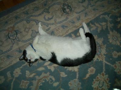 Max  Jun 2004