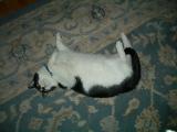 Max  Jun 2004