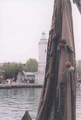 Faro - Nicola Cocchi