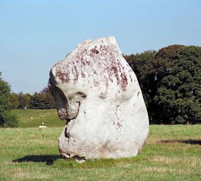 IMG0010.jpg