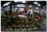 Amsterdam Flowermarket