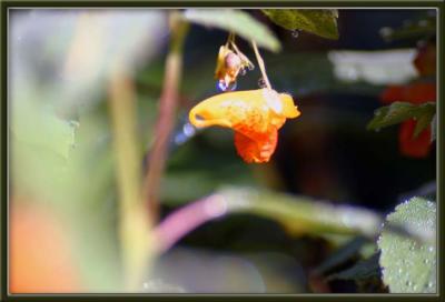 160_6029 copy.jpg