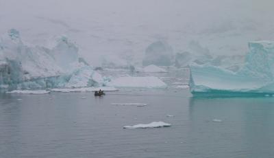 Tiny zodiac big iceberg