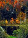 Eccopond last autumn