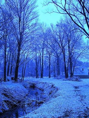 Blue Beechlake