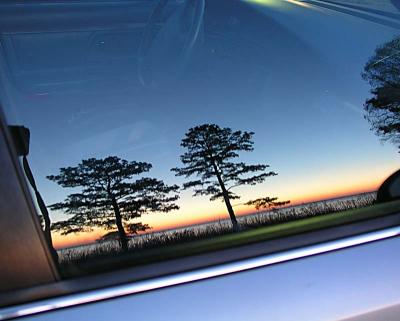 Car Window