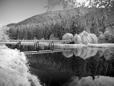 Country Bridge in BW