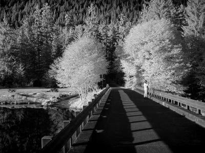 Bridge Shadows