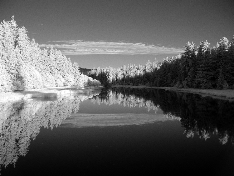 P9057627