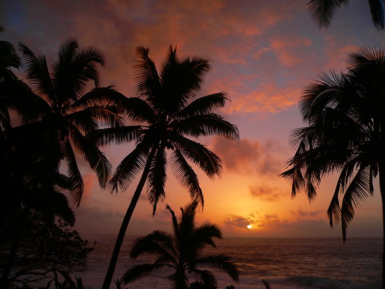 Puna Sunrise #4
