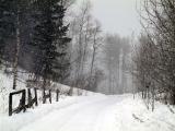 Country Driveway, Snowing, Pocatello, Idaho