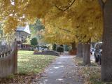 Autumn on 7th Ave, Pocatello, Idaho