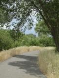 Portneuf Greenway Trail by Portneuf River, Pocatello, Idaho