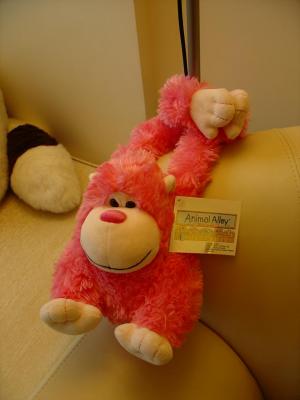 HPink Monkey (31-1-2004)
