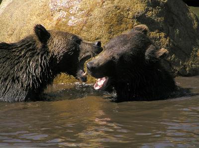 P8089684_proc_std.jpg