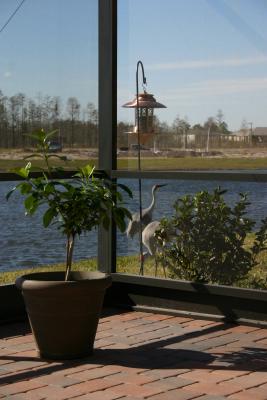 IMG_0267.JPG