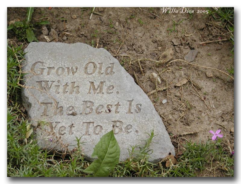 Grow Old With Me!