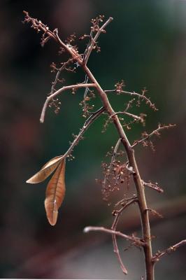 Places Nature and landscapes