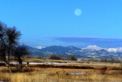 Morning Moon 1-04