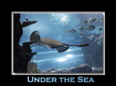 under_the_sea