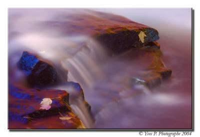 u39/yp8/medium/34989009.DSC_1464.jpg