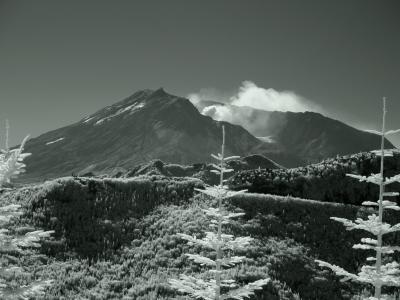 Mt St. Helens IR