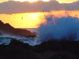 Asilomar State Beach