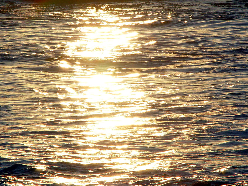 Asilomar State Beach