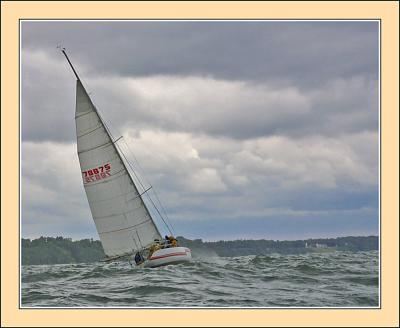 IMG_6663.jpg