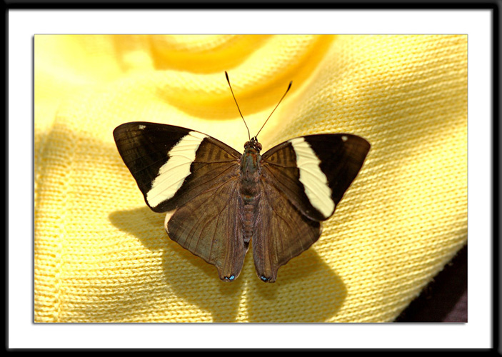 DSC_0737.jpg