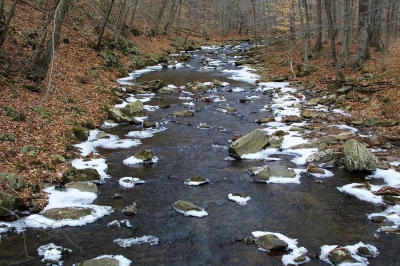 Rockaway Creek, Tewksbury