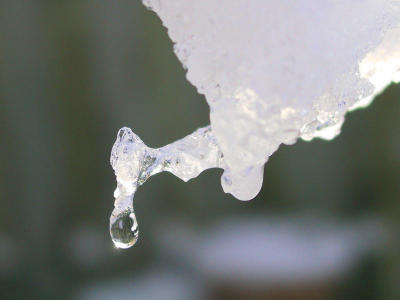 123-2370.jpg