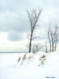 Indiana Dunes