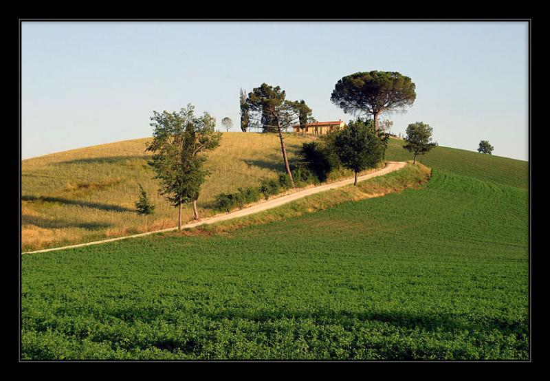 Tuscany - in June 2003